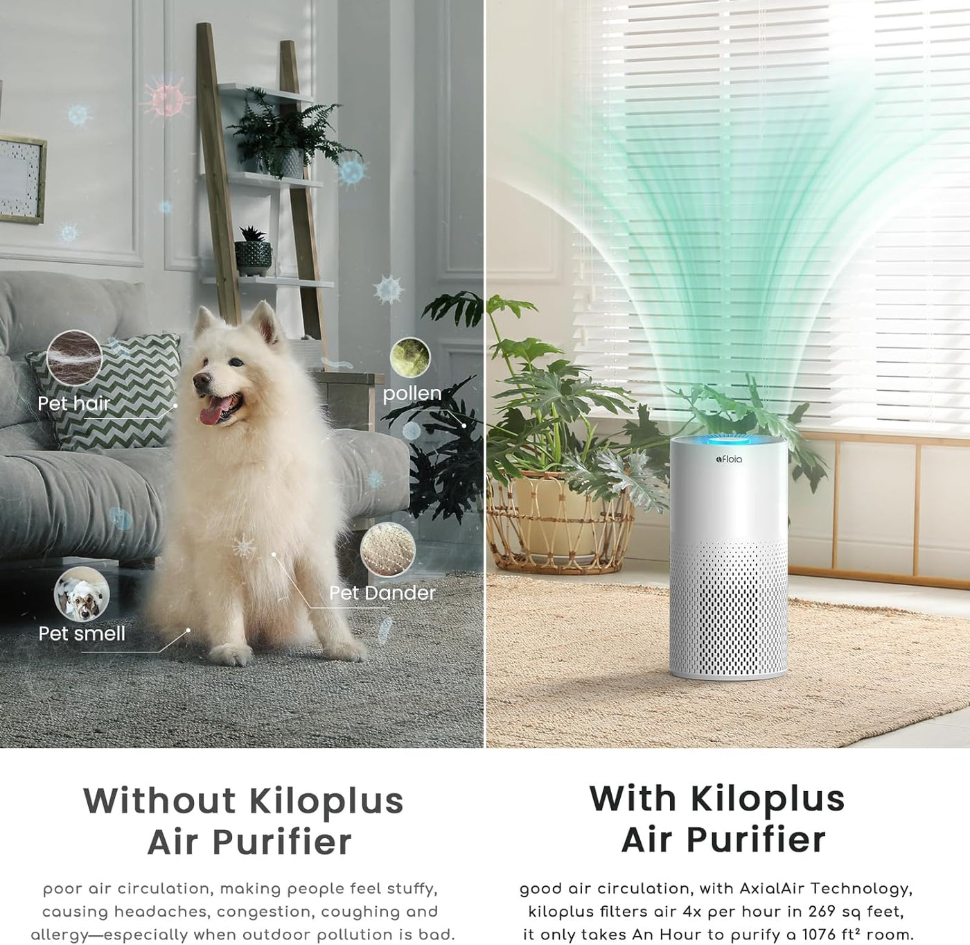 Kilo Plus Air Purifier